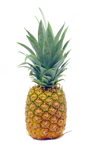 Verse ananas — Stockfoto