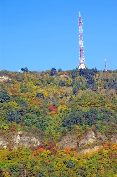 가을 숲 — 스톡 사진