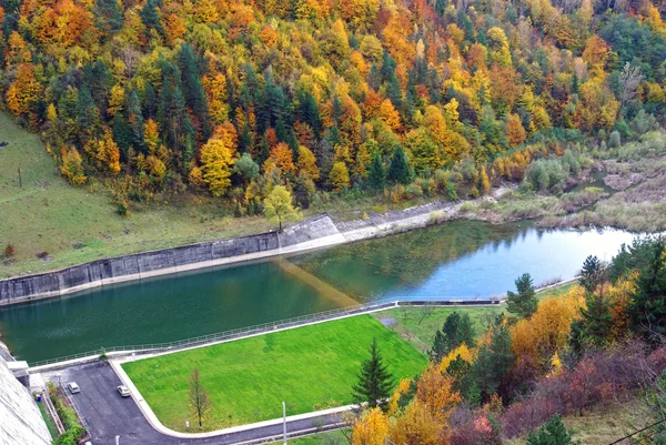 Water canal through forest — Stock Photo, Image