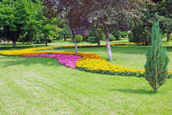 Schöner Garten — Stockfoto