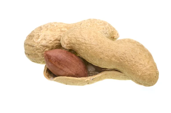 Fresh peanuts detail — Stock Photo, Image