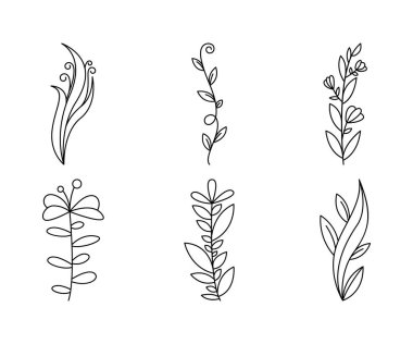 floral elements, flower and leaves line art vector illustration