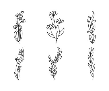 floral elements, flower and leaves line art vector illustration