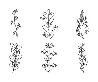 floral elements, flower and leaves line art vector illustration