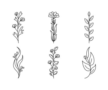 floral elements, flower and leaves line art vector illustration