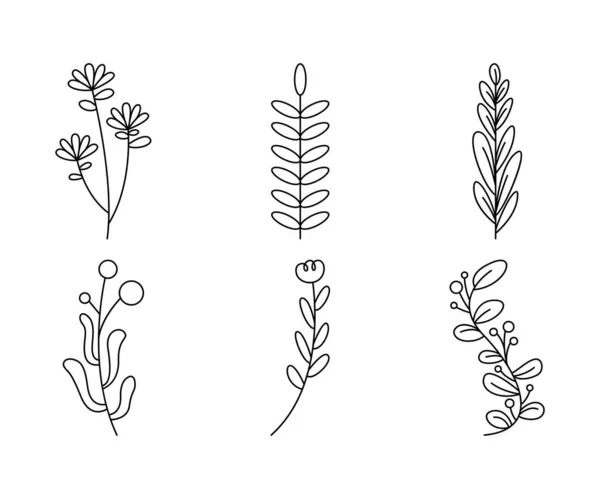 Floral Elements Flower Leaves Line Art Vector Illustration — Stockvector