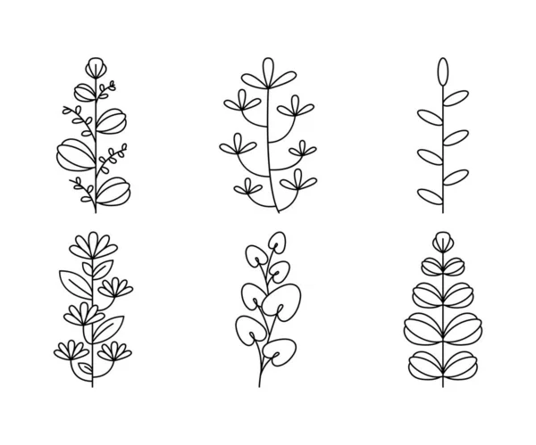 Floral Elements Flower Leaves Line Art Vector Illustration —  Vetores de Stock