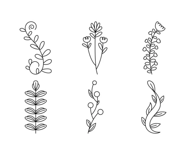 Floral Elements Flower Leaves Line Art Vector Illustration — Stock vektor