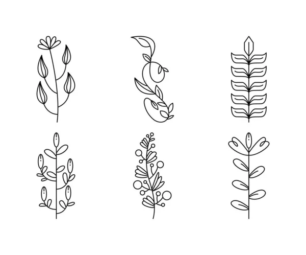 Floral Elements Flower Leaves Line Art Vector Illustration — Wektor stockowy