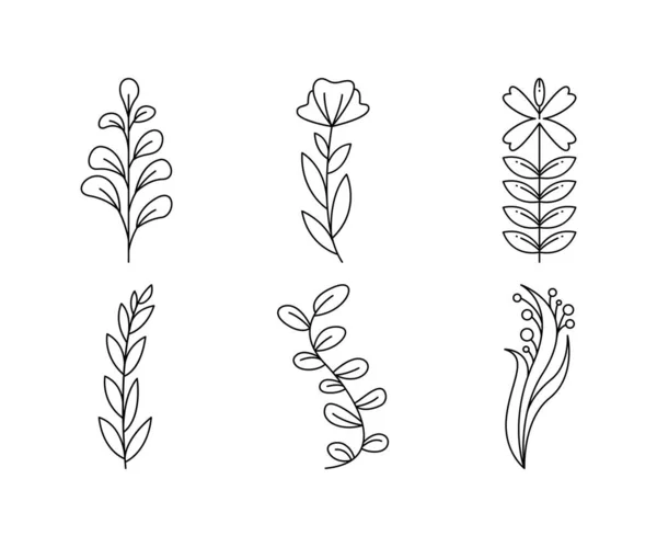 Floral Elements Flower Leaves Line Art Vector Illustration — Vetor de Stock
