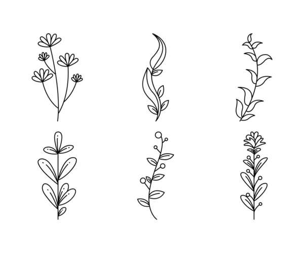 Floral Elements Flower Leaves Line Art Vector Illustration — 图库矢量图片