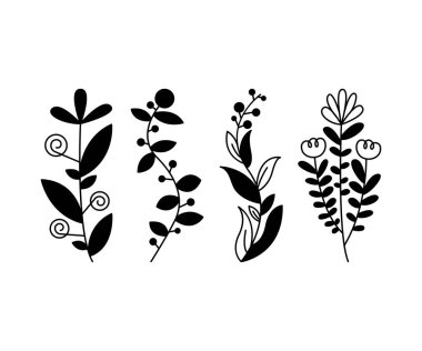 floral elements, branches and leaves vector illustration