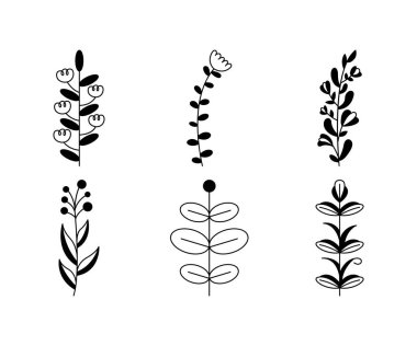 floral elements, branches and leaves vector illustration