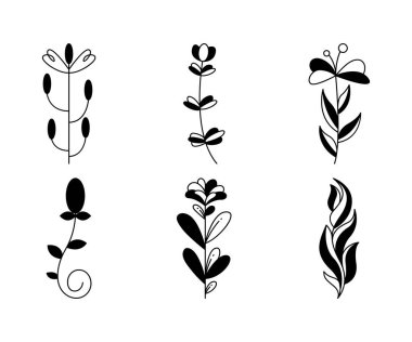 floral elements, branches and leaves vector illustration