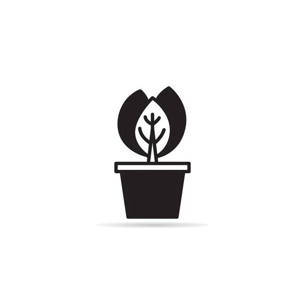 Szobanövény Növénycserép Ikonok Vektor Illusztráció — Stock Vector