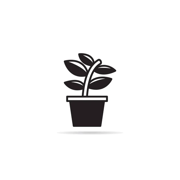 Illustration Vectorielle Icônes Plante Intérieur Pot Plante — Image vectorielle