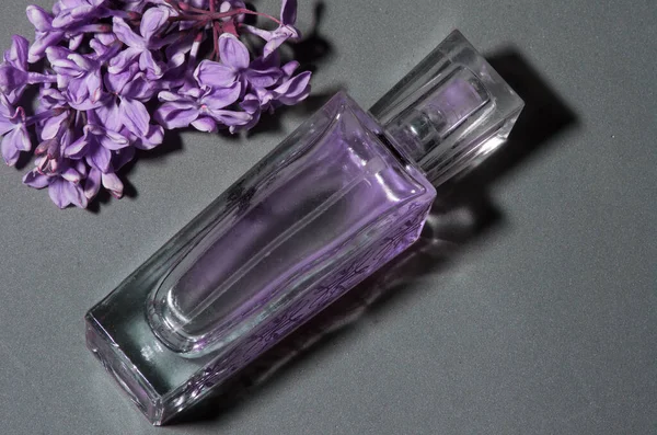 Parfüm Çok Peri gri arka planda leylak