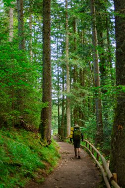 Sırt çantalı bir adam dağdaki yolda yürüyor.