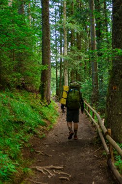 Sırt çantalı bir adam dağdaki yolda yürüyor.