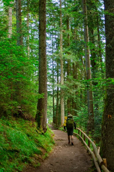 Sırt çantalı bir adam dağdaki yolda yürüyor.