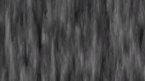 Lav Çamuru Sıvı Sıvı Siyah Beyaz Döngü Animasyon Arkaplanı Soyut — Stok video