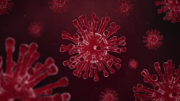 4K循环动画红冠Covid病毒在里面漂浮 背景Covid 19病毒 — 图库视频影像