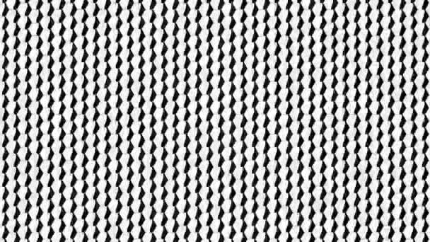 Naadloze Lus Abstract Hexagon Honingraat Zwart Met Witte Kaart Matt — Stockvideo