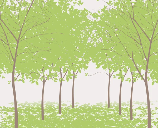 Trees in the park — Stock Vector