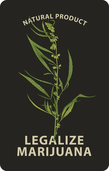 Векторный Баннер Легализации Марихуаны Реалистичным Рисунком Растения Конопли Черном Фоне — стоковый вектор