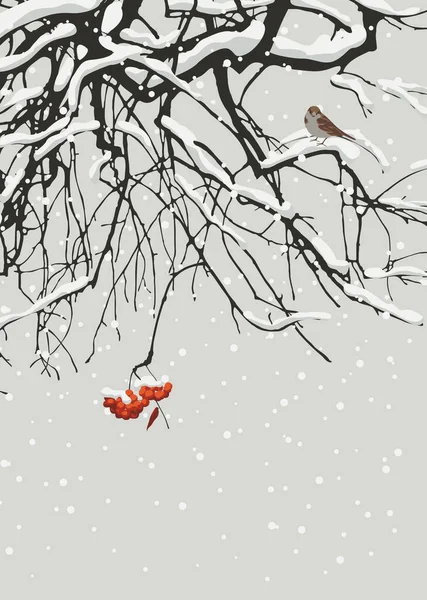 Śnieżny Wektor Ilustracja Pokrytymi Śniegiem Gałęziami Czerwoną Gromadą Górskiego Popiołu — Wektor stockowy