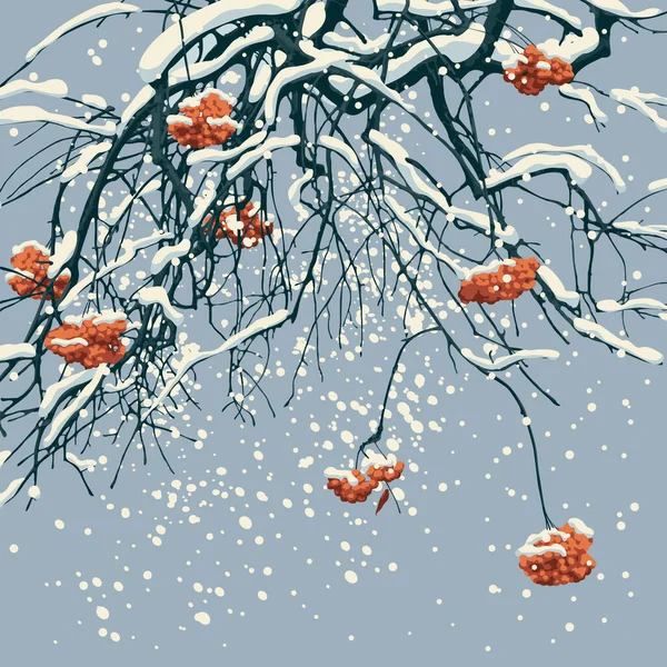 Piękny Zimowy Krajobraz Pokrytymi Śniegiem Gałęziami Czerwonymi Gromadami Górskiego Popiołu — Wektor stockowy