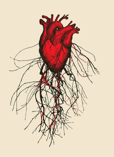 带有红心 血管和静脉的病媒横幅在旧纸的背景下 以爱情 解剖学为主题的手绘摘要 适用于海报 T恤设计 — 图库矢量图片
