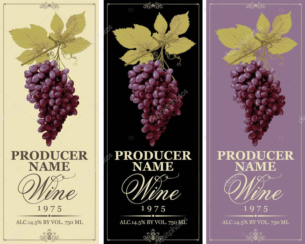 Set of vertical wine labels with realistic bunches of red grapes and calligraphic inscriptions in a frames with curls. Wine collection premium quality. Vector illustration