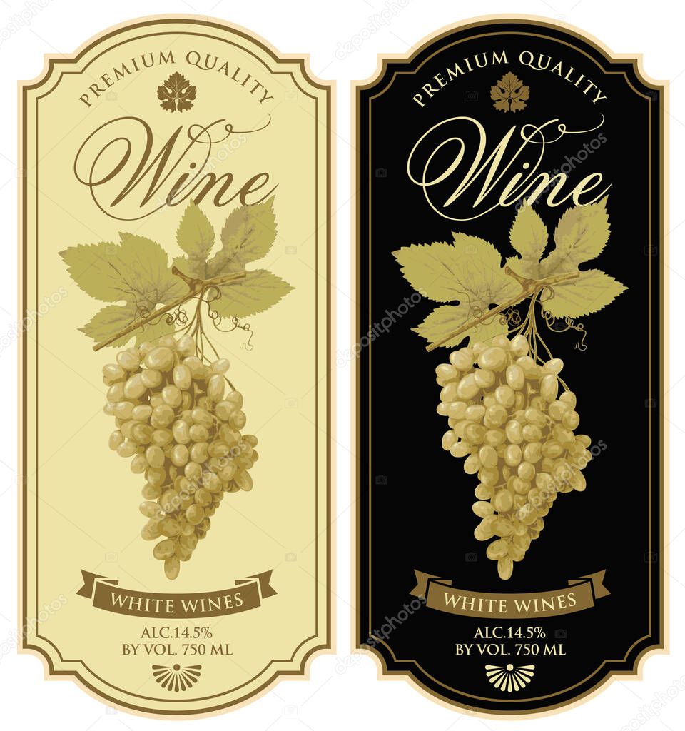 Set of vector wine labels with realistic bunches of delicious green grapes and calligraphic inscriptions in a figured frames on a beige and black backgrounds. Wine collection premium quality.