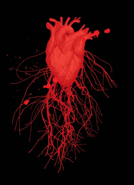 Abstrakcyjny Baner Wektorowy Czerwonym Ludzkim Sercem Naczyniami Krwionośnymi Żyłami Czarnym — Wektor stockowy