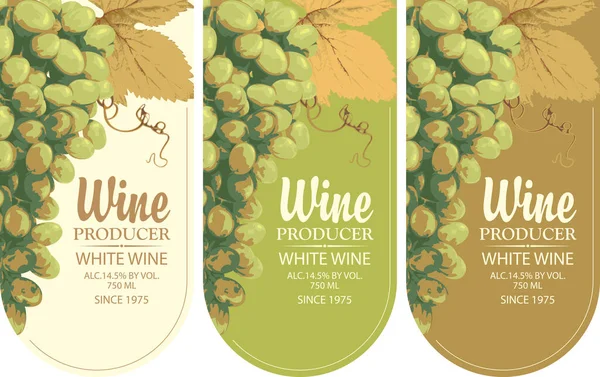 Набор Этикеток Белого Вина Реалистичными Связками Вкусного Зеленого Винограда Надписями — стоковый вектор