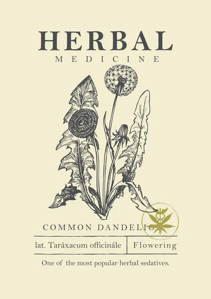 Botanical Illustration Hand Drawn Common Dandelion Plant Retro Style Vector — 图库矢量图片