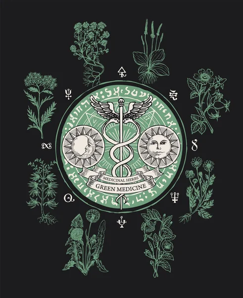 Vector Banner Theme Green Medicine Caduceus Sun Moon Magic Symbols — Vettoriale Stock