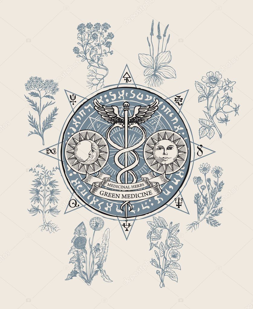 Vector banner on the theme of green medicine with hand-drawn staff of Hermes, sun, moon, magic symbols and medicinal herbs. Vintage illustration with caduceus and curative plants