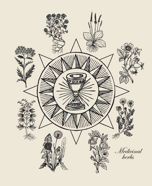 Vector illustration with Grail and medicinal plants. Hand-drawn banner on the theme of green medicine and herbal treatment with various curative herbs in retro style
