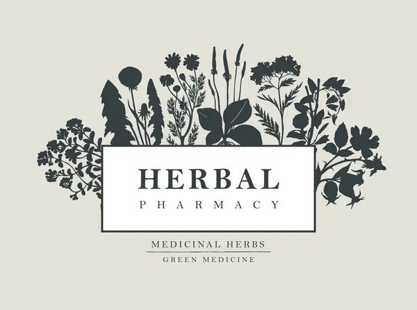 Bannière Vectorielle Étiquette Avec Les Mots Herbal Pharmacy Cadre Décoratif — Image vectorielle