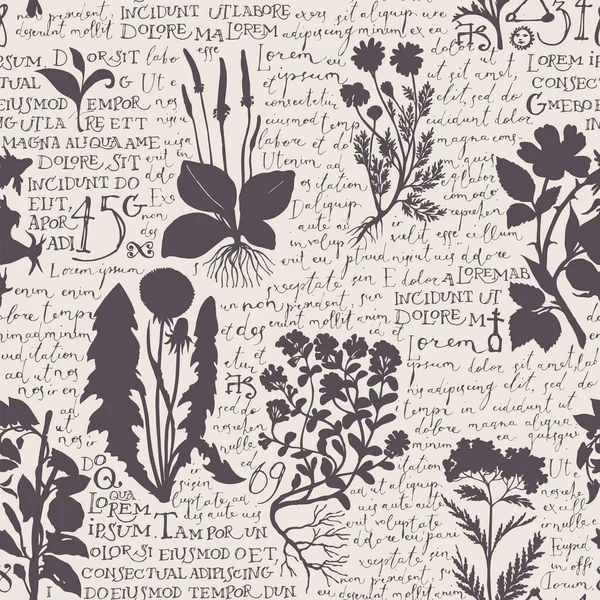 Patrón Sin Costuras Con Siluetas Hierbas Medicinales Texto Manuscrito Lorem — Archivo Imágenes Vectoriales