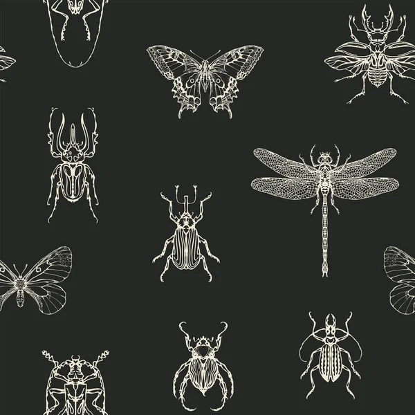 Modèle Sans Couture Dessiné Main Avec Des Papillons Des Coléoptères — Image vectorielle
