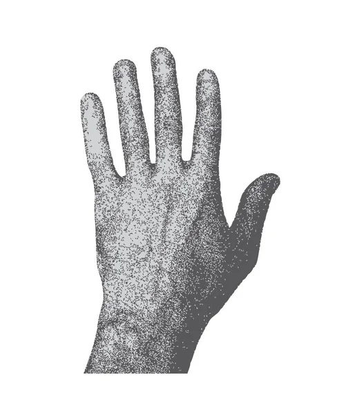 Vector Zwart Wit Menselijke Hand — Stockvector