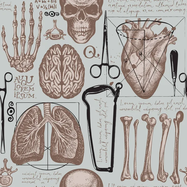 解剖学上无缝的图案 手绘人体骷髅 器官和外科器械 背景为手写体胸腔 带有医学主题草图的古埃及矢量背景 — 图库矢量图片