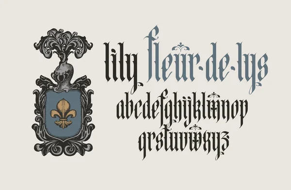 Fonte Gothique Ensemble Complet Lettres Alphabet Anglais Vintage Lettres Latines — Image vectorielle