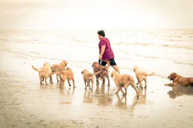 adam köpek golden retriever ile kumsalda oynarken