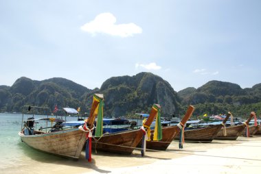 geleneksel longtail tekneler