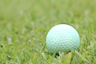 yeşil çim sol arka plan üzerinde beyaz golf topu