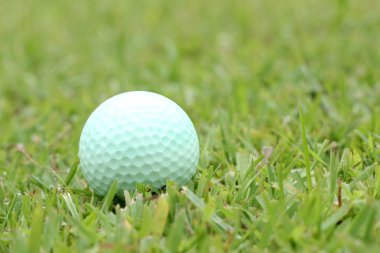 yeşil çim sol arka plan üzerinde beyaz golf topu